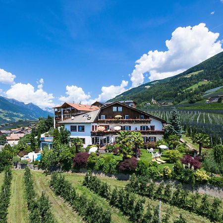 Pension Zum Burggraefler Шена Екстер'єр фото