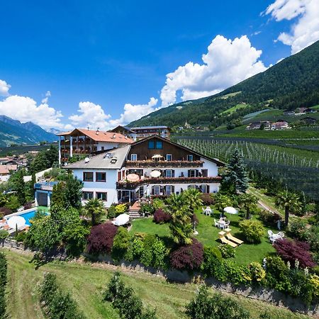 Pension Zum Burggraefler Шена Екстер'єр фото
